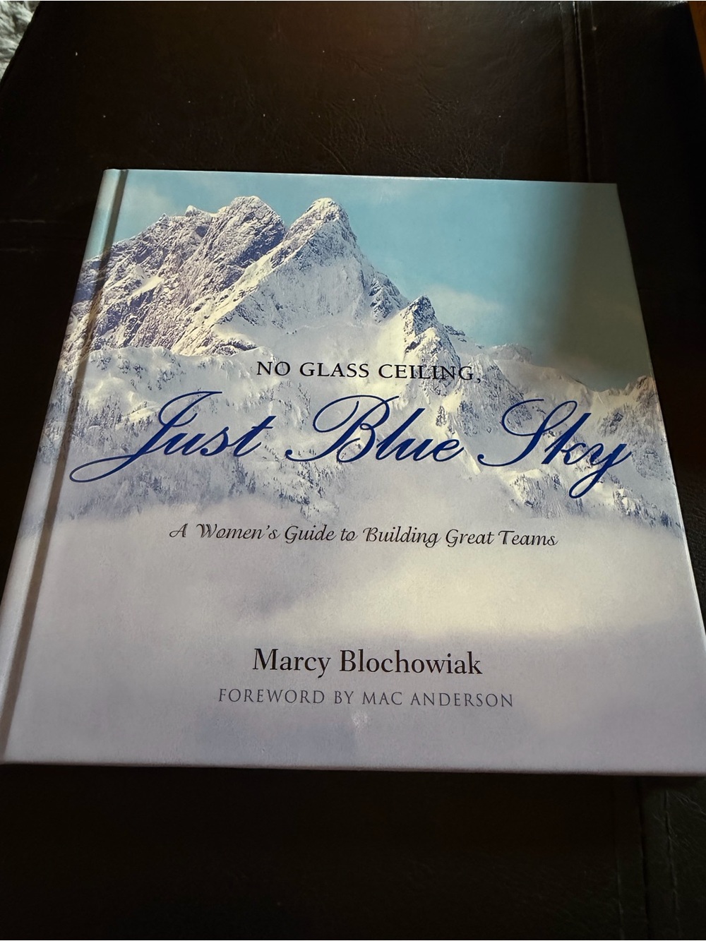No Glass Ceiling, Just Blue Sky — Blue Coffee Table Book by Marcy Blochowiak